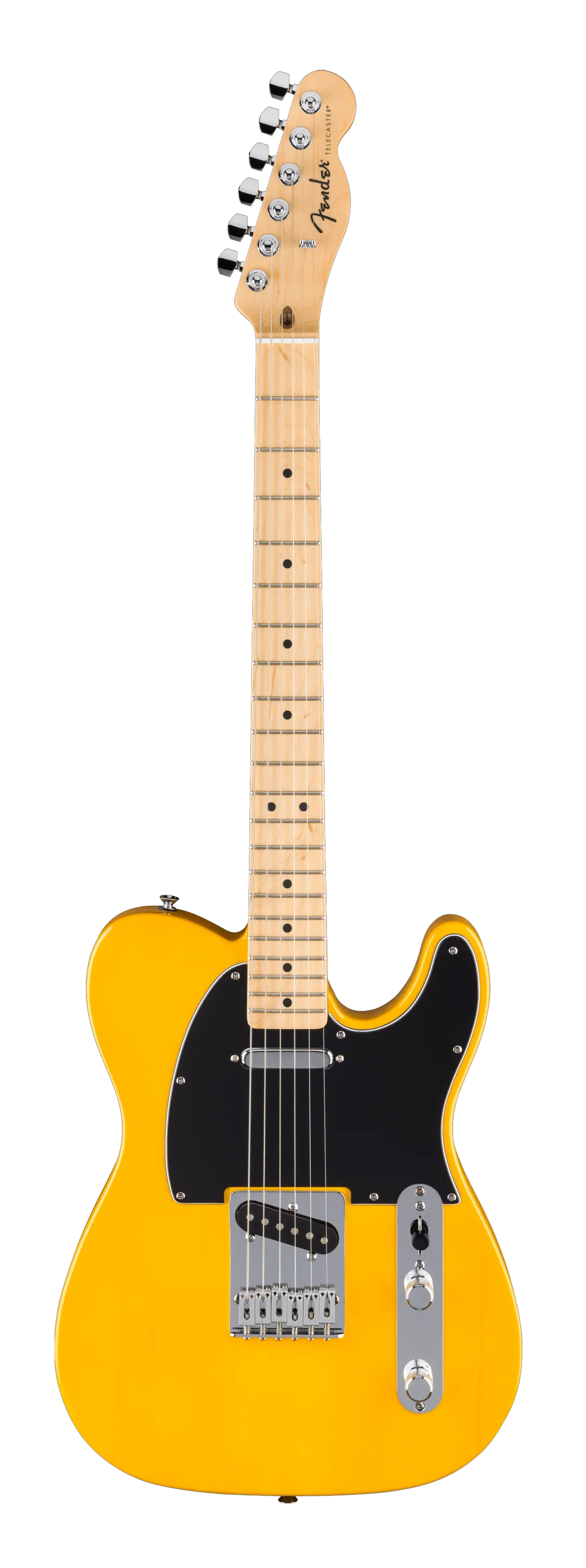Fender Standard Telecaster - Butterscotch Blonde