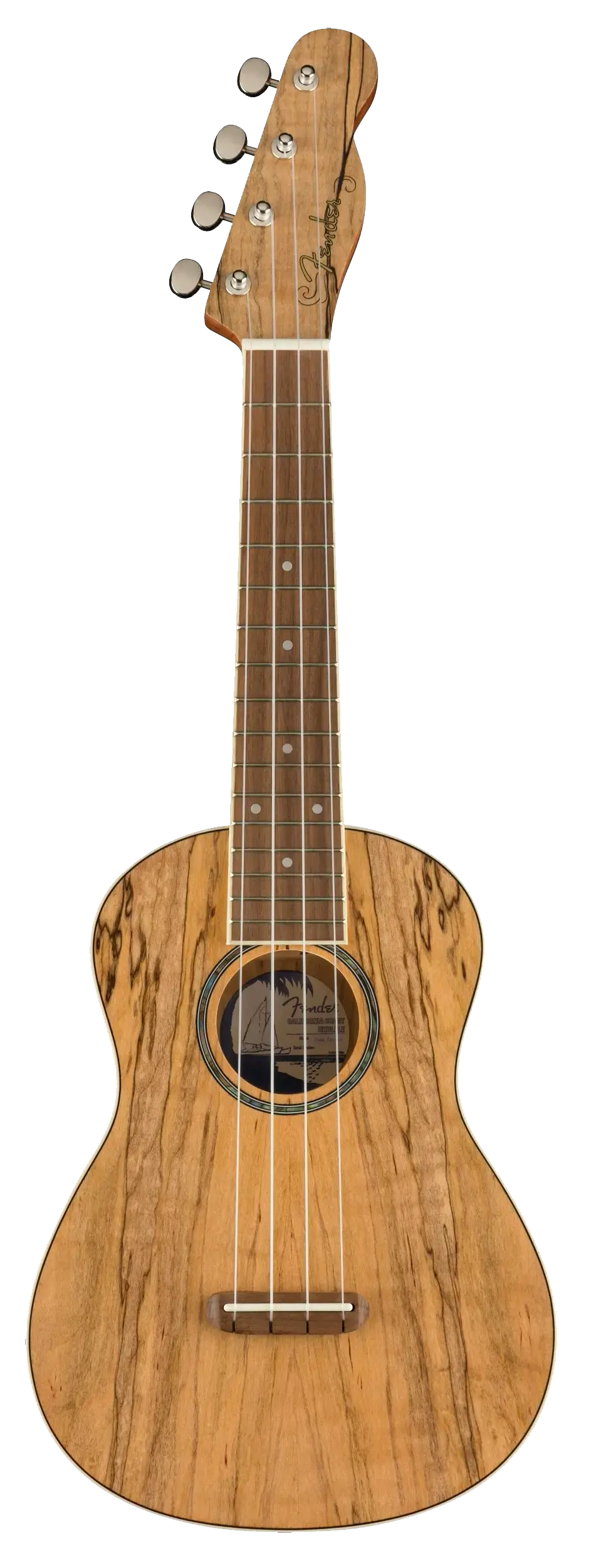 Fender Zuma Exotic Concert - Natural Spalted Maple