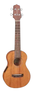 Takamine Concert Ukulele Eguc1 – Mahogany