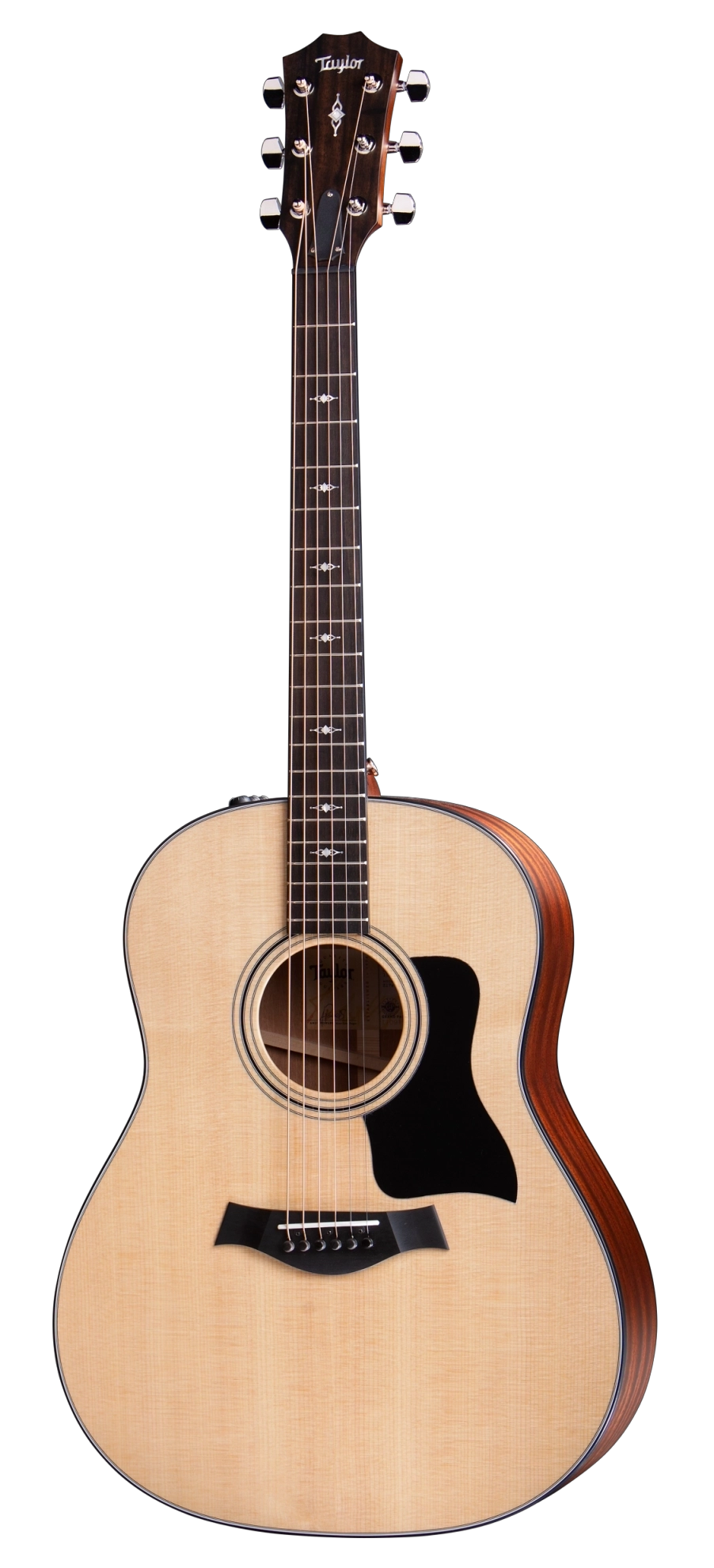 Taylor 317E V-Class