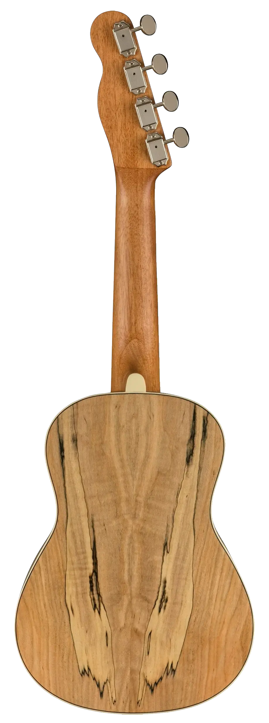 Fender Zuma Exotic Concert - Natural Spalted Maple