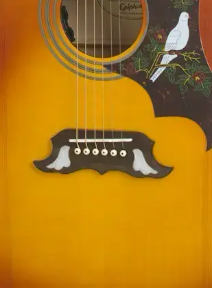 Epiphone Dove Pro