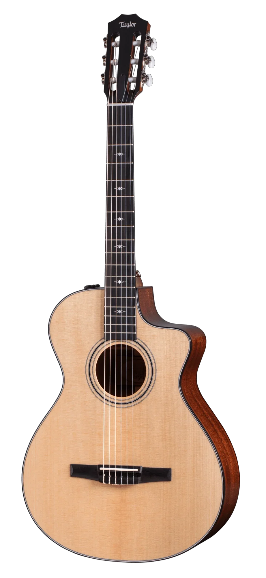 Taylor 312CE-N – Natural