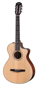Taylor 312CE-N – Natural
