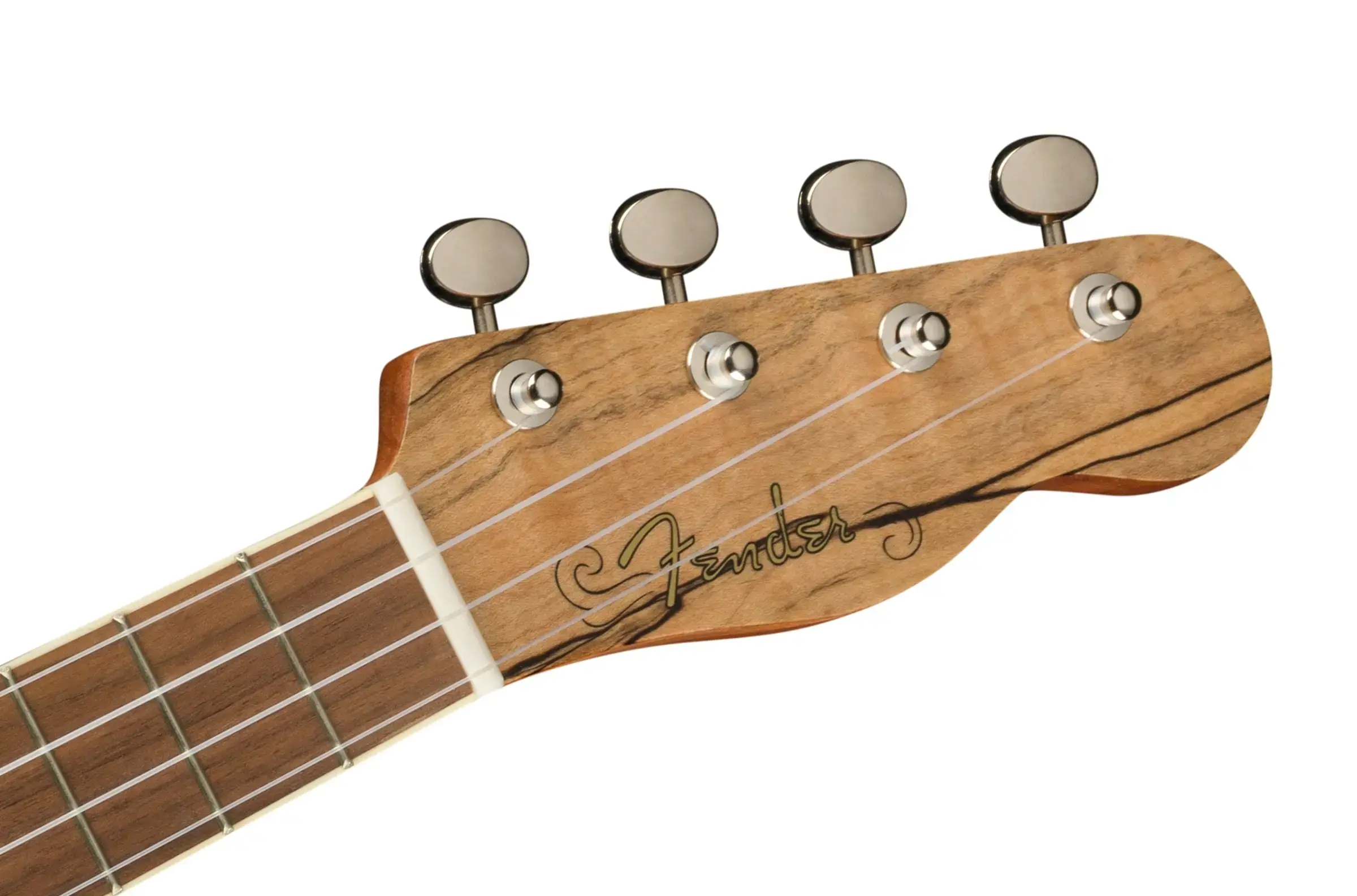 Fender Zuma Exotic Concert - Natural Spalted Maple
