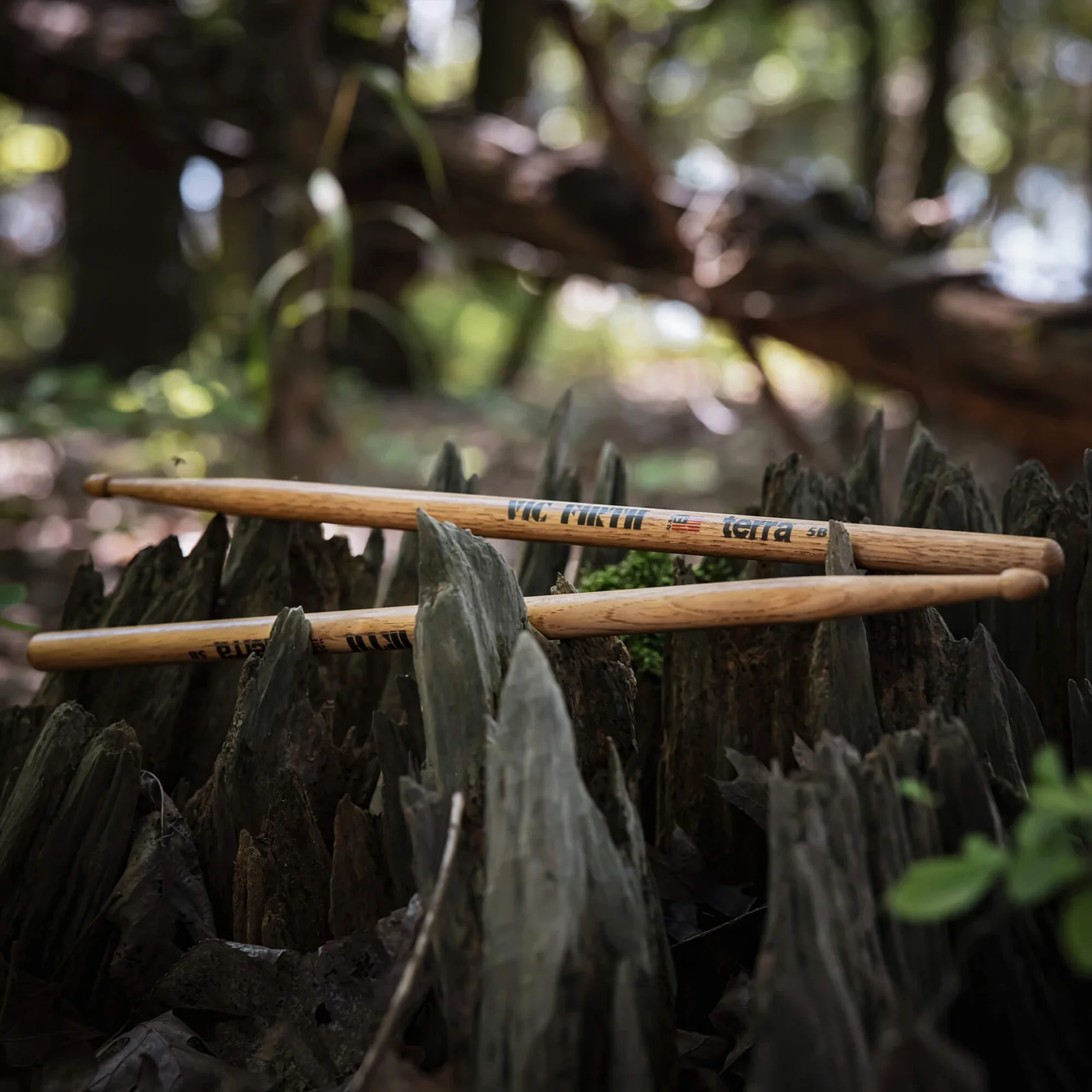 Vic Firth Terra Series 5B Value Pack – Wood Tip