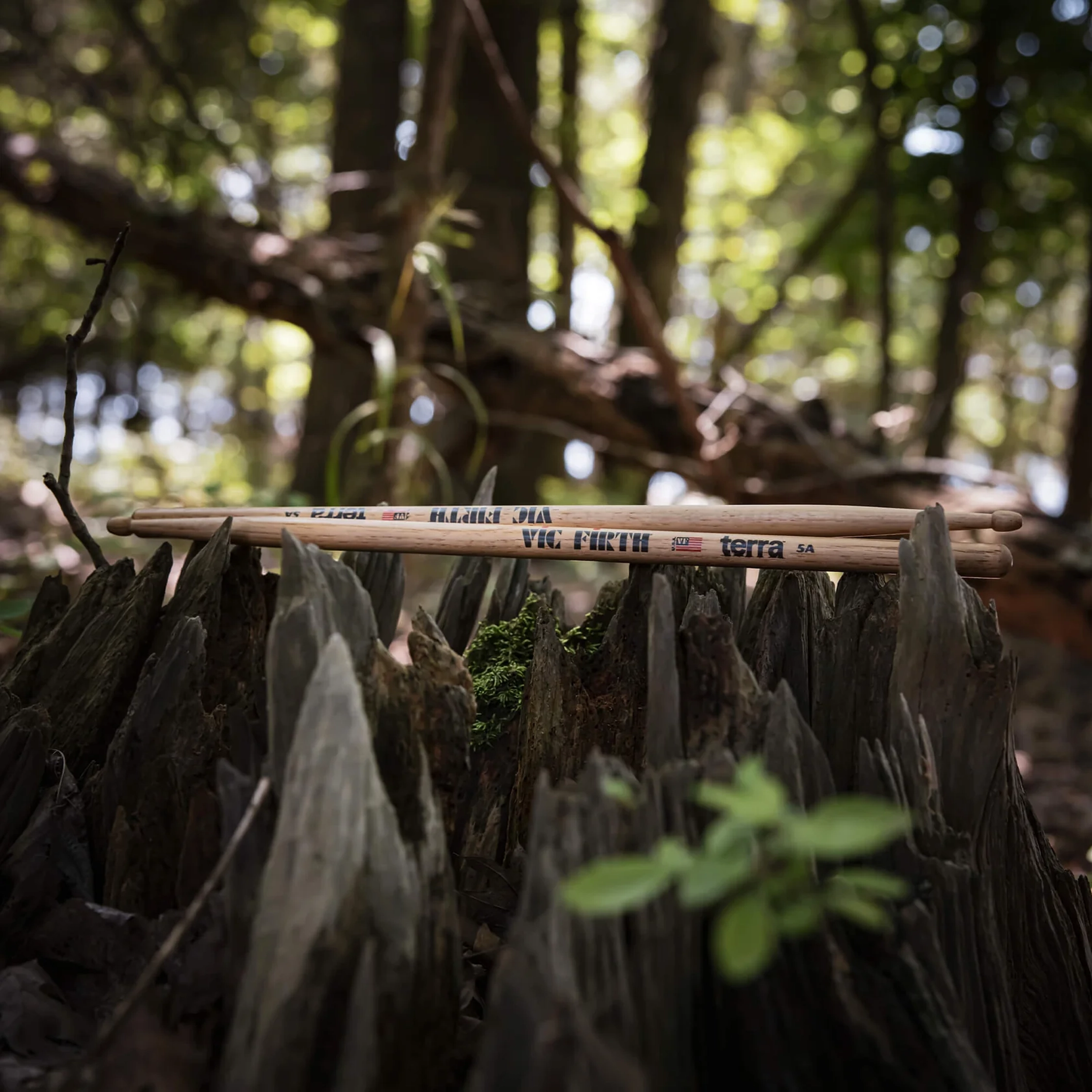 Vic Firth Terra Series 5AT Value Pack – Wood Tip