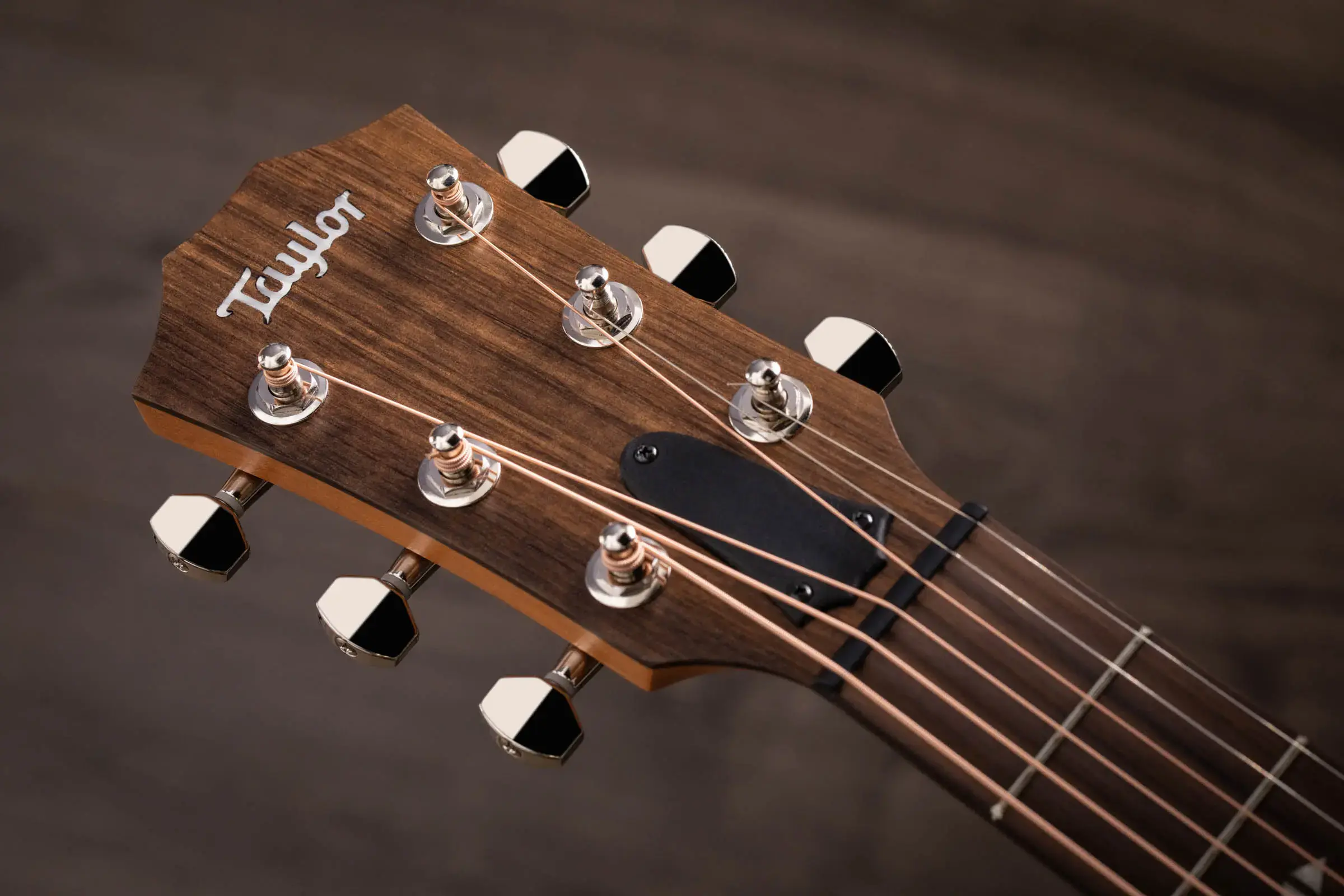 Taylor GTE Urban Ash Acoustic - Natural