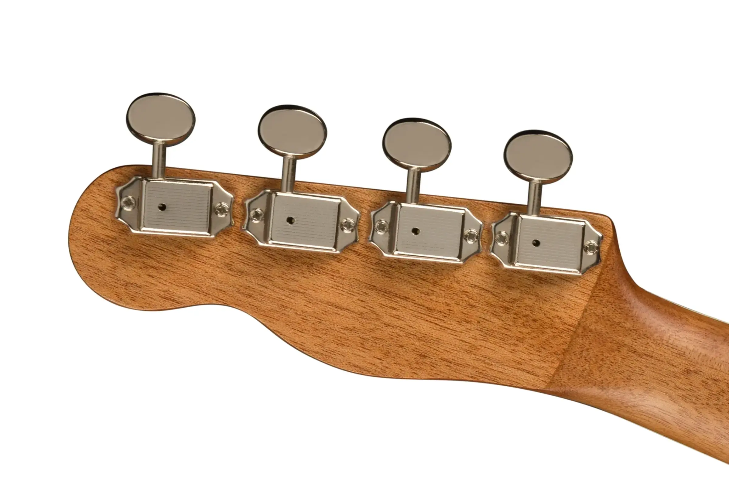 Fender Zuma Exotic Concert - Natural Spalted Maple