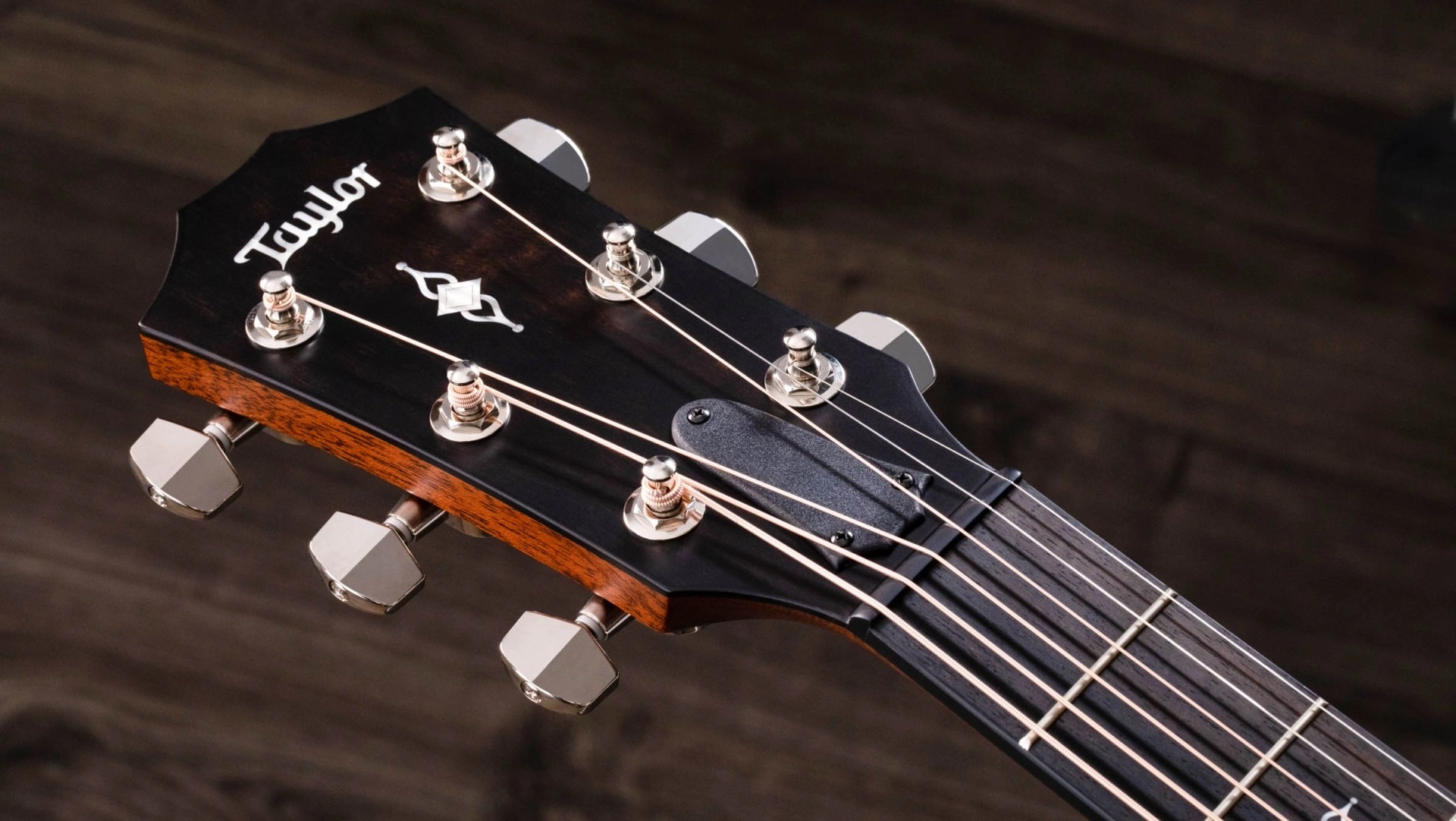 Taylor 312CE - Natural