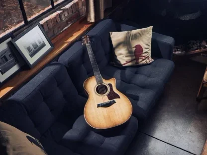 הגיטרות האקוסטיות מבית Taylor - סדרת 300