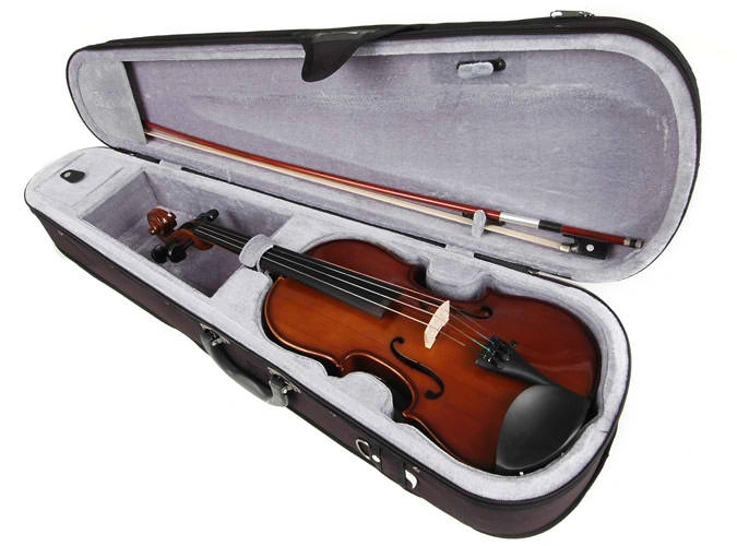 Valencia V400 Violin