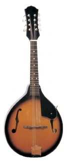 Steinbach MD048 Mandolin