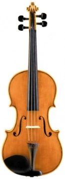 Franco Marcelli ZJ40VN