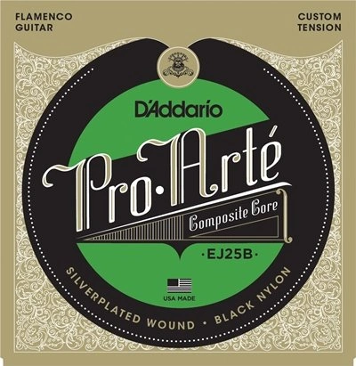 D'addario EJ25B