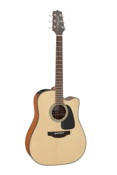 Takamine GD10CE-NS