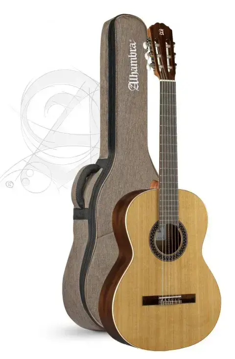 ¾ Alhambra Model 1C Hybrid Terra