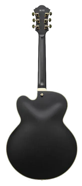 Ibanez AF75G - Black Flat