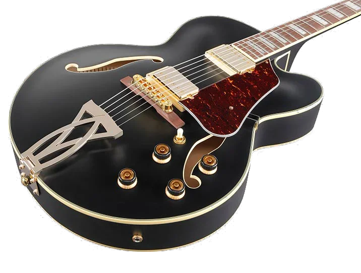 Ibanez AF75G - Black Flat