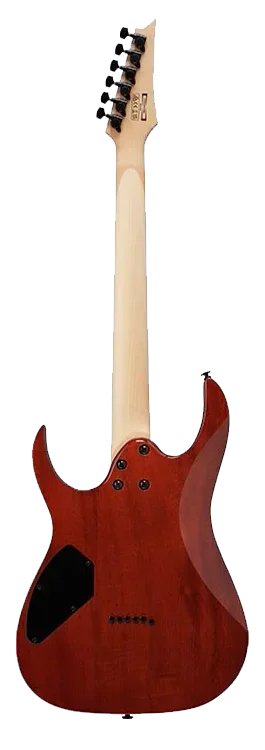 Ibanez GRGR221PA-AQB