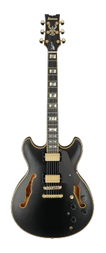 Ibanez John Scofield Signature JSM20 - Black Low Gloss