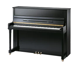 Pearl River EU122 - Polished Ebony