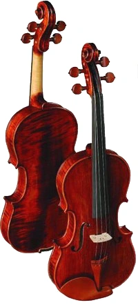 Steinbach MV100 Flame Violin
