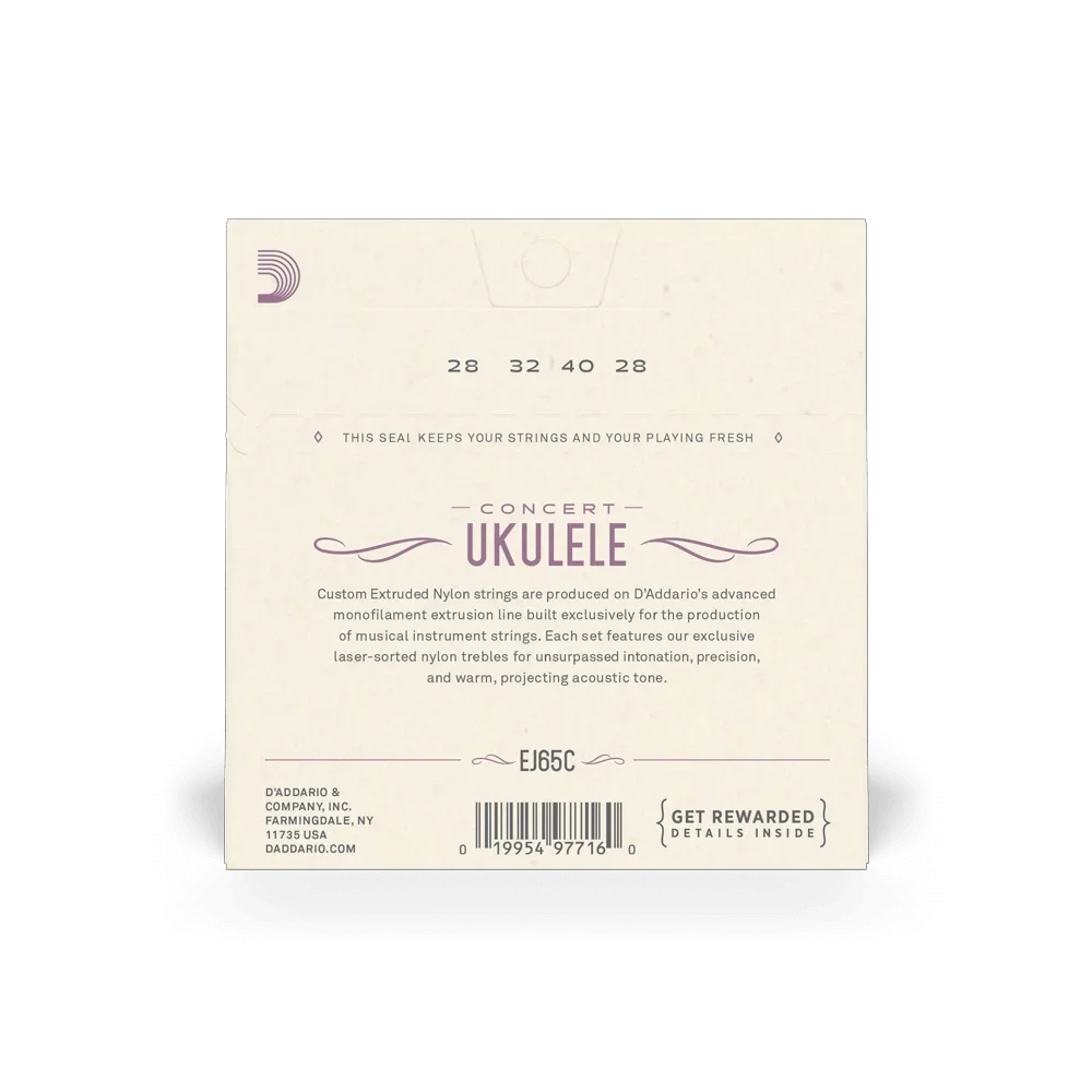 D'Addario Concert Ukulele Set EJ65C