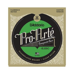 D'addario EJ25C
