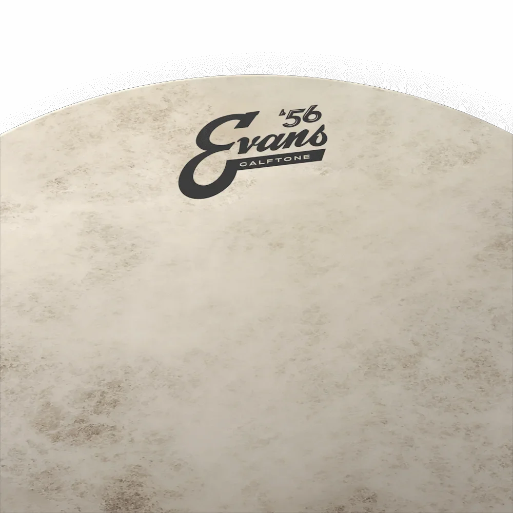 Evans TT14C7 Calftone Snare Drumhead