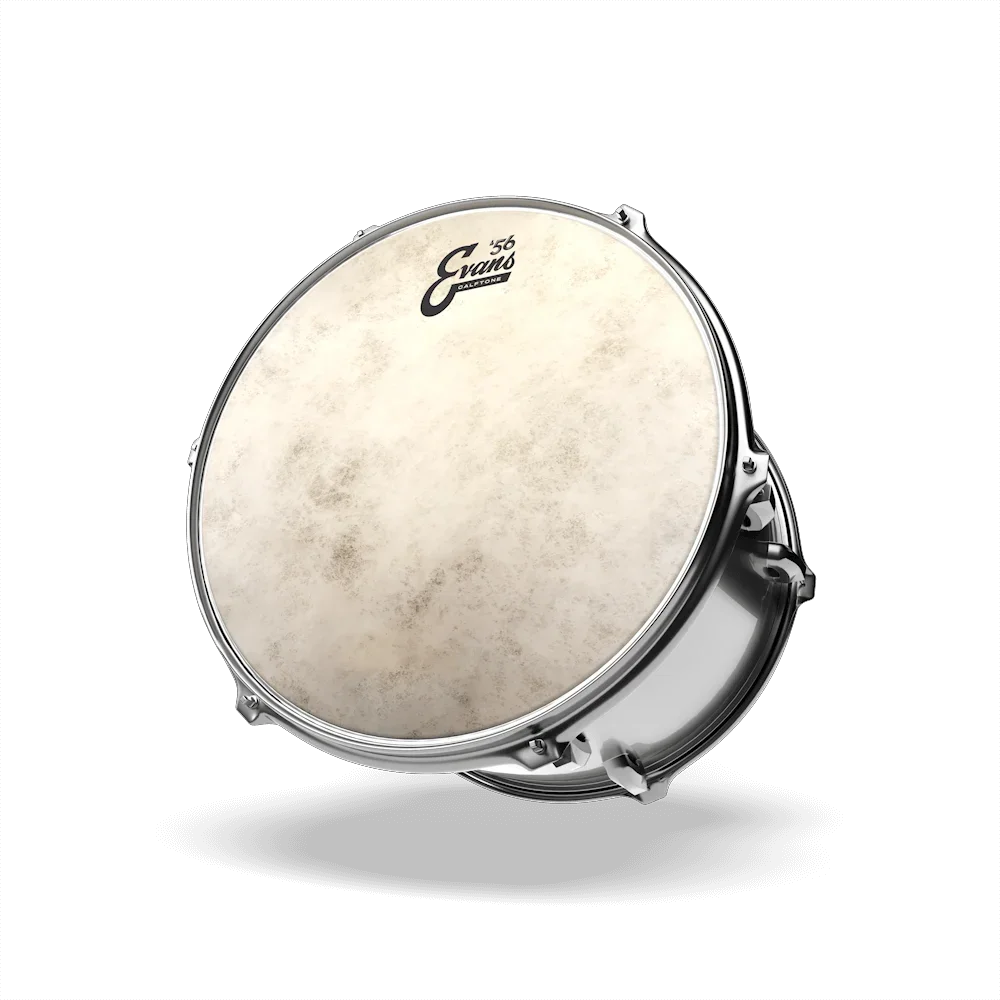Evans TT14C7 Calftone Snare Drumhead