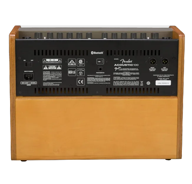 Fender Acoustic 100