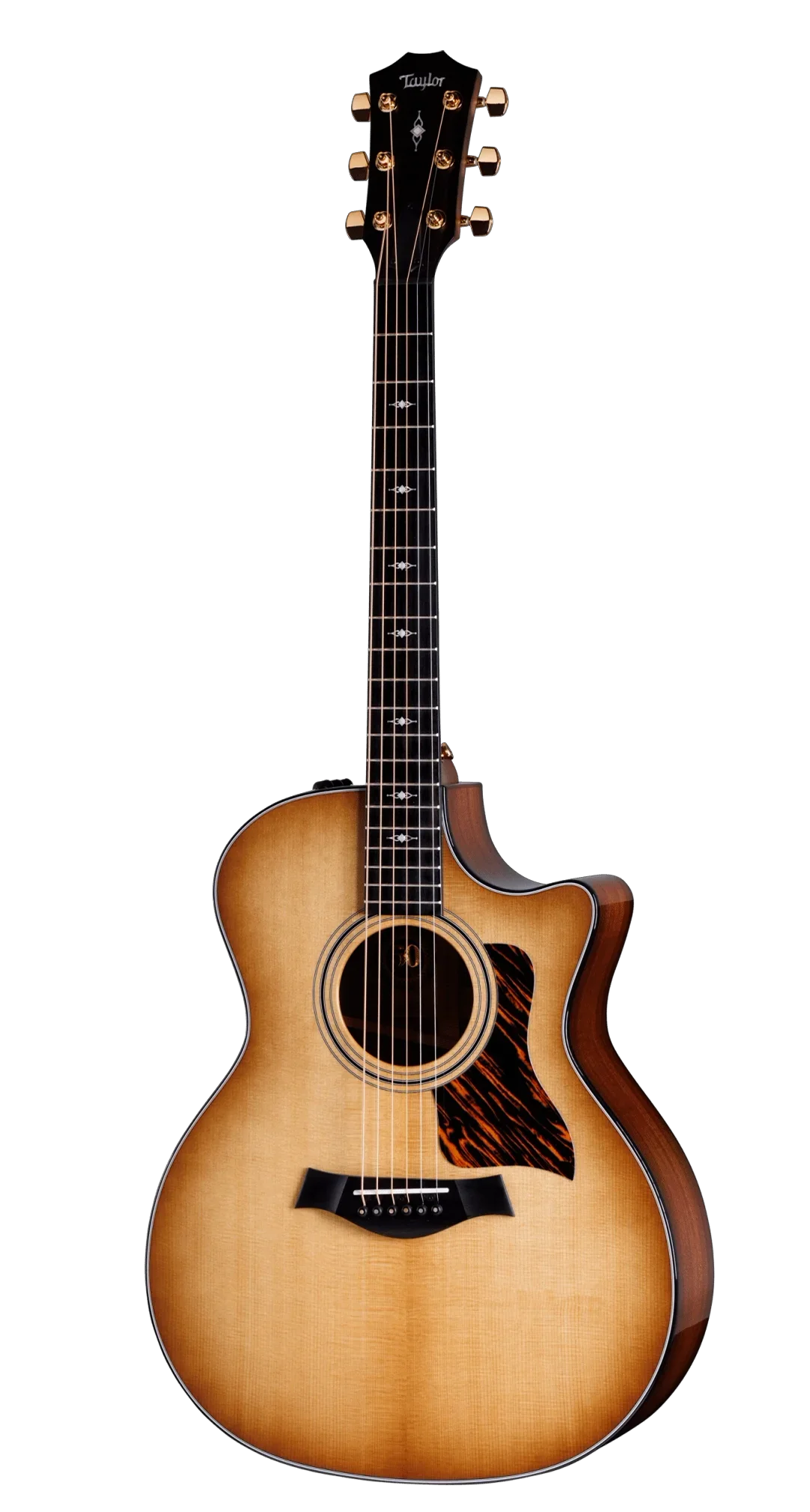 Taylor 50th Anniversary Builders Edition 314ce LTD - Natural