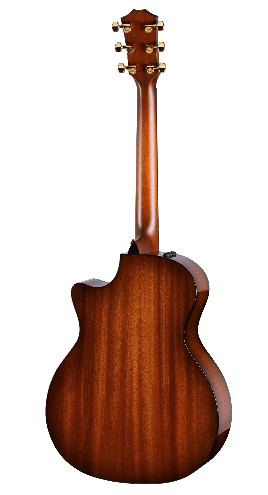 Taylor 50th Anniversary Builders Edition 314ce LTD - Natural