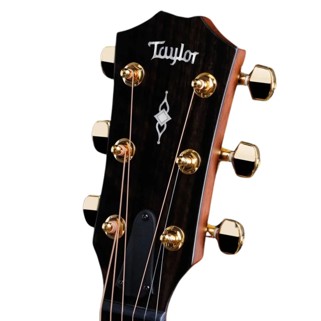 Taylor 50th Anniversary Builders Edition 314ce LTD - Natural