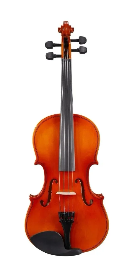 Valencia V100 4/4 Violin