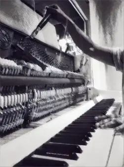 הזמנת כיוון פסנתר